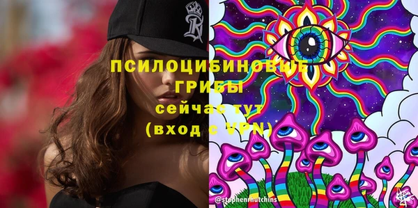 ГАЛЛЮЦИНОГЕННЫЕ ГРИБЫ Покров