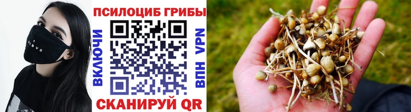 Псилоцибиновые грибы Psilocybine cubensis  Купить закладки  Астрахань 